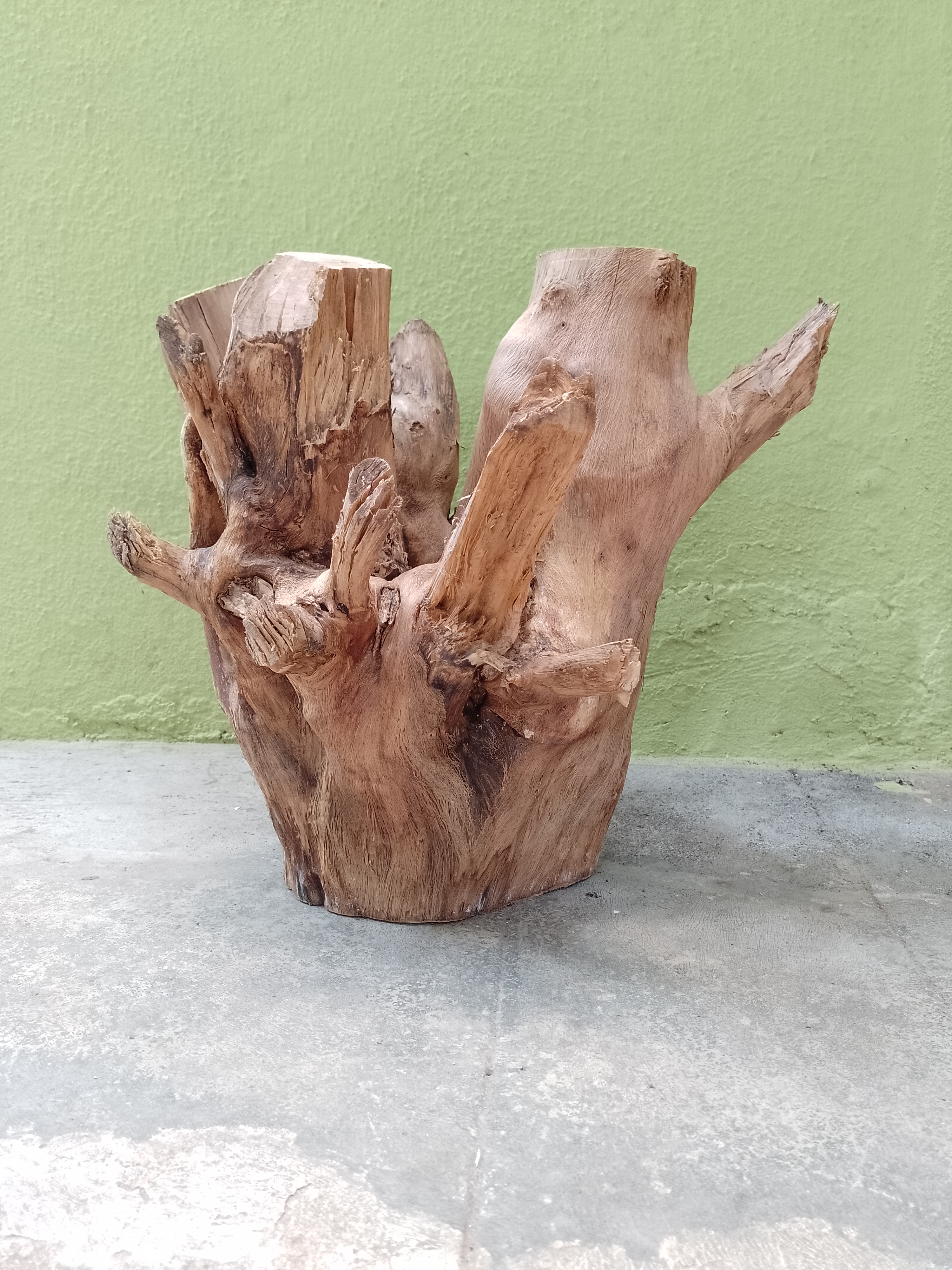 Teak Driftwood large piece Suitable for coffee table making 