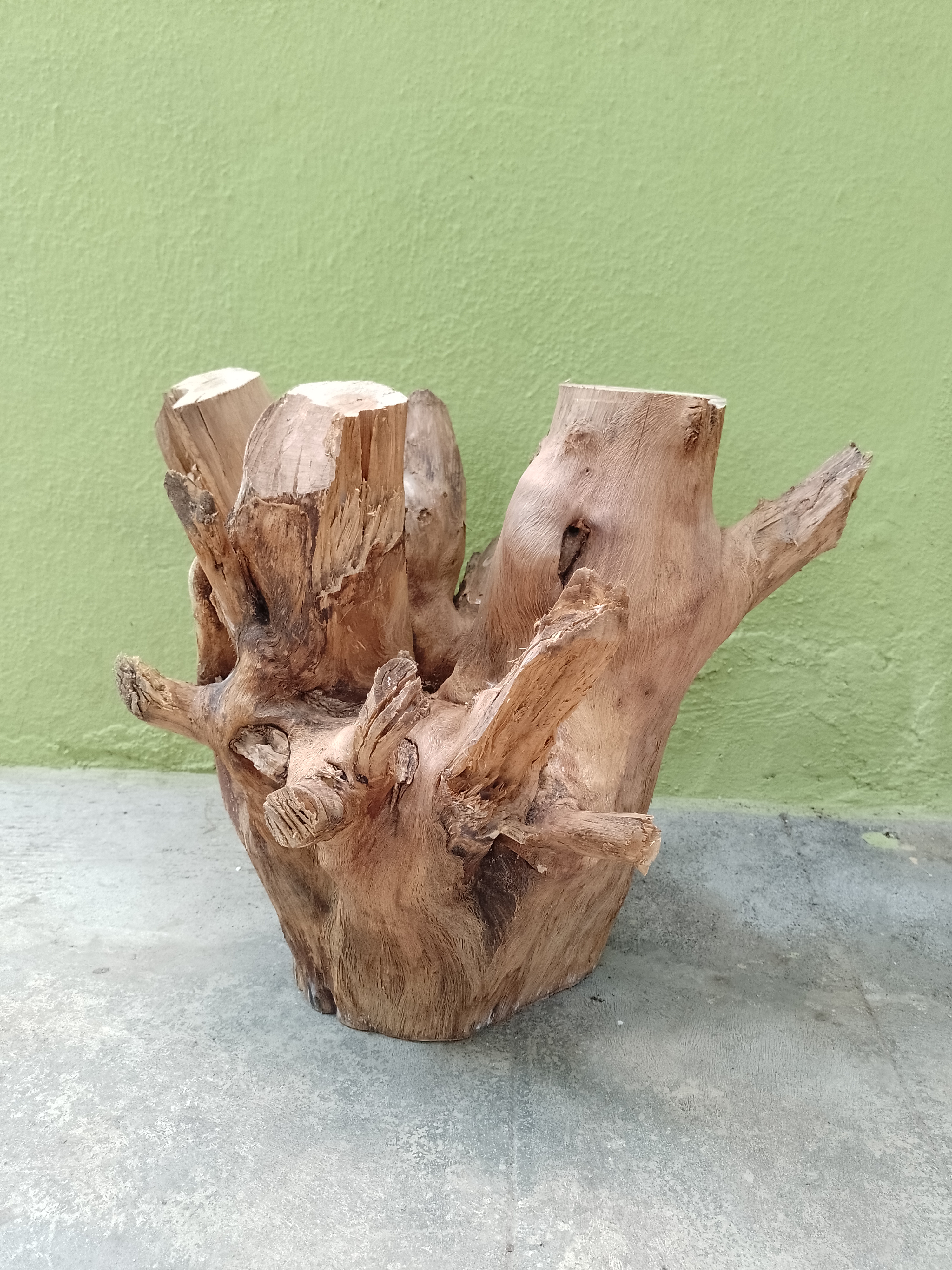 Teak Driftwood large piece Suitable for coffee table making 