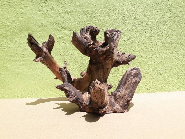 Teak wood sculpture Natural Driftwood Branch Decor
