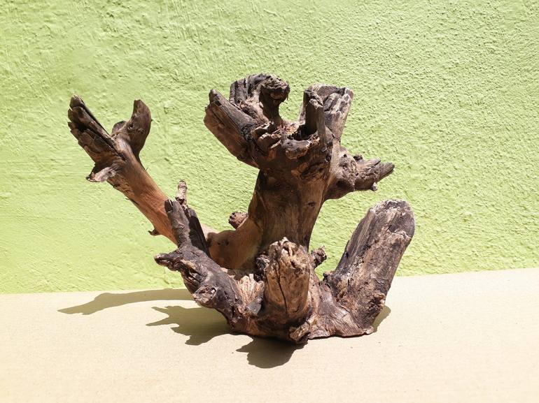 Teak wood sculpture Natural Driftwood Branch Decor
