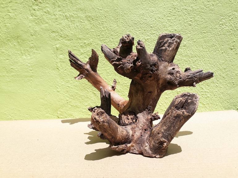 Teak wood sculpture Natural Driftwood Branch Decor