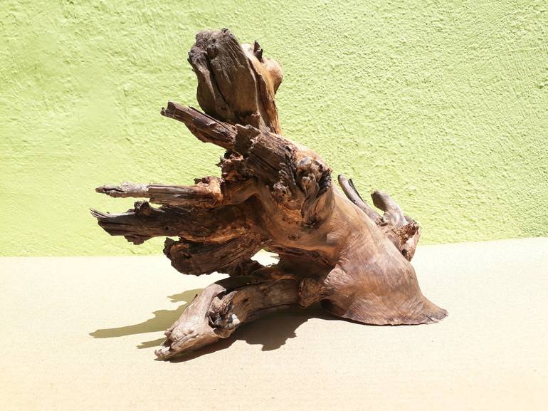 Teak wood Branch sculpture Natural Driftwood Decor