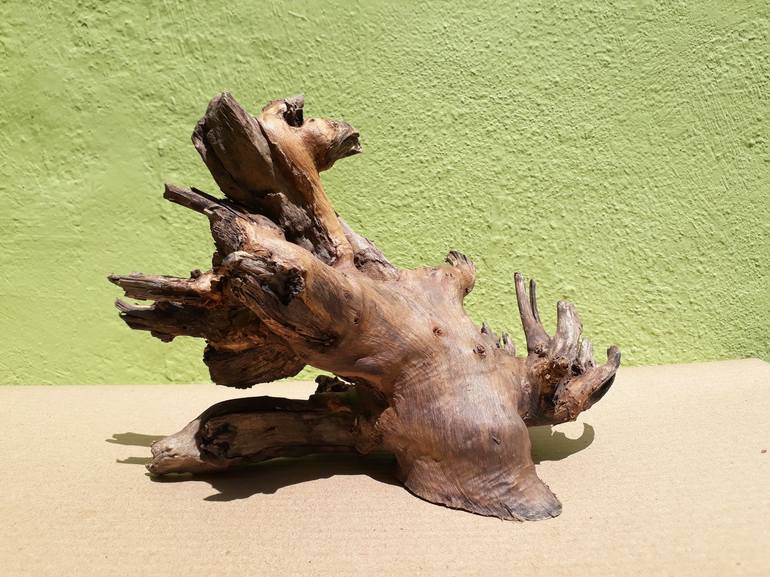 Teak wood Branch sculpture Natural Driftwood Decor