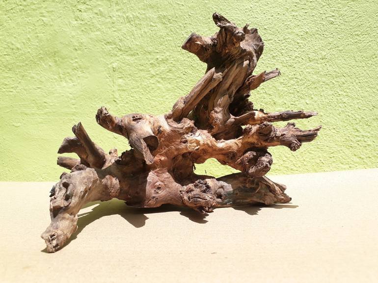 Teak wood Branch sculpture Natural Driftwood Decor