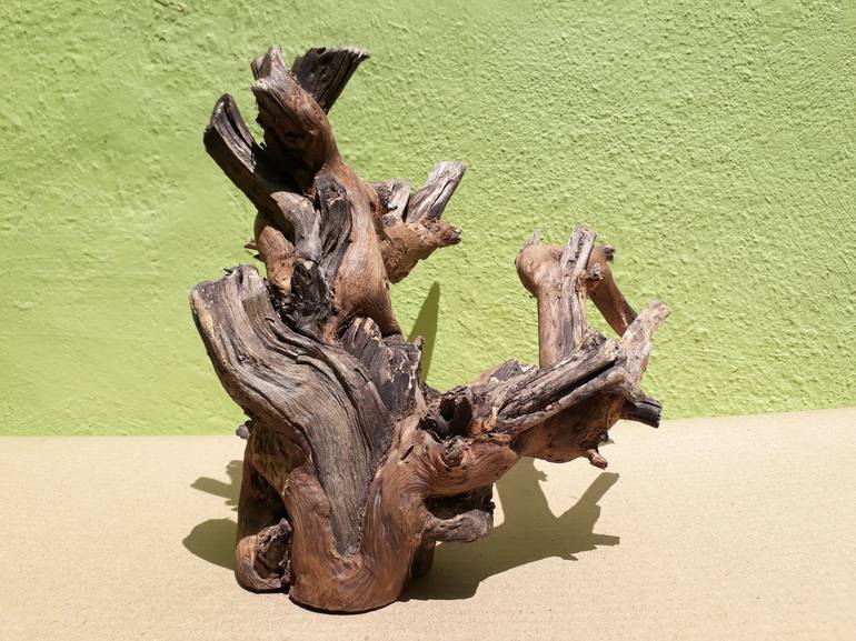 Teak wood Branch sculpture Natural Driftwood Decor