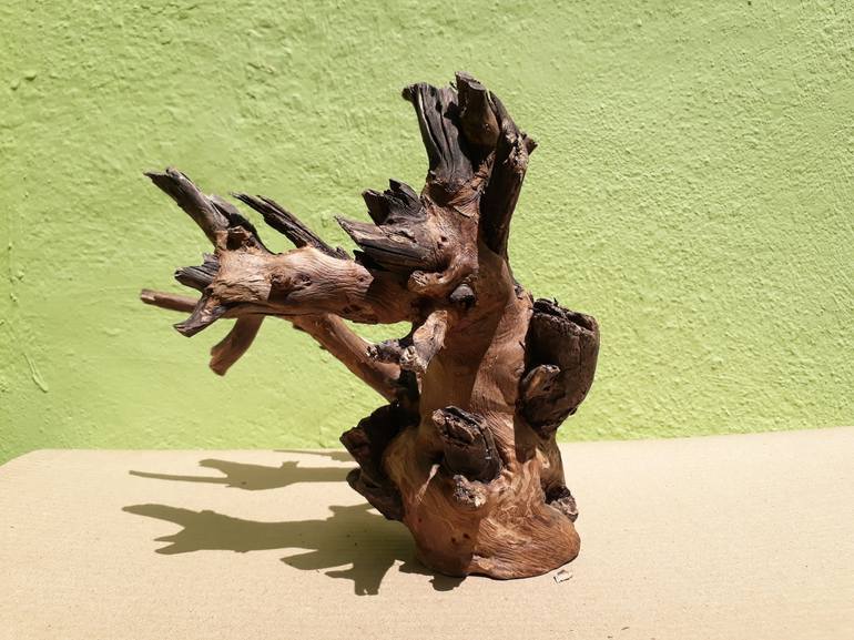 Teak wood Branch sculpture Natural Driftwood Decor
