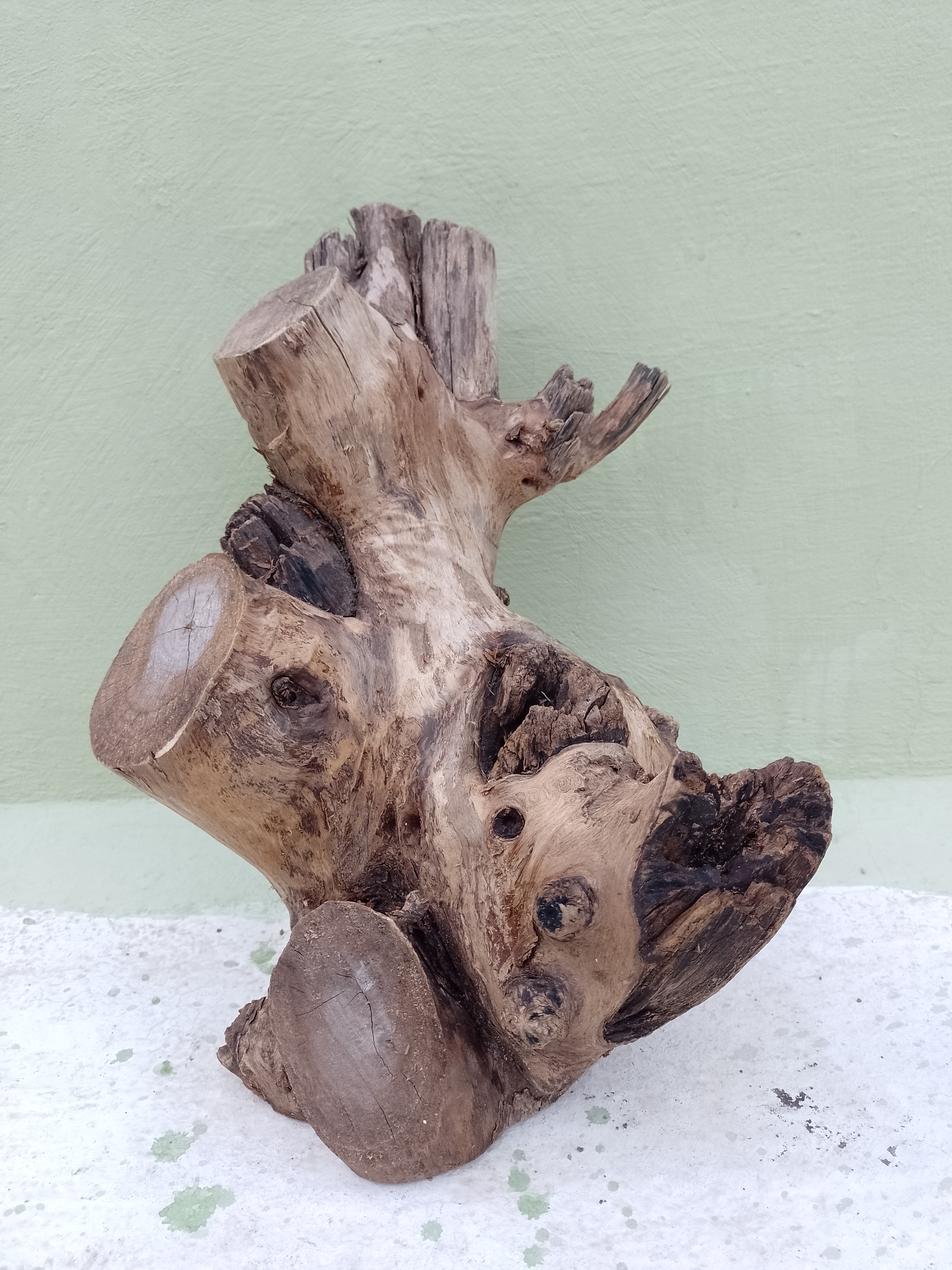 Driftwood for aquarium 