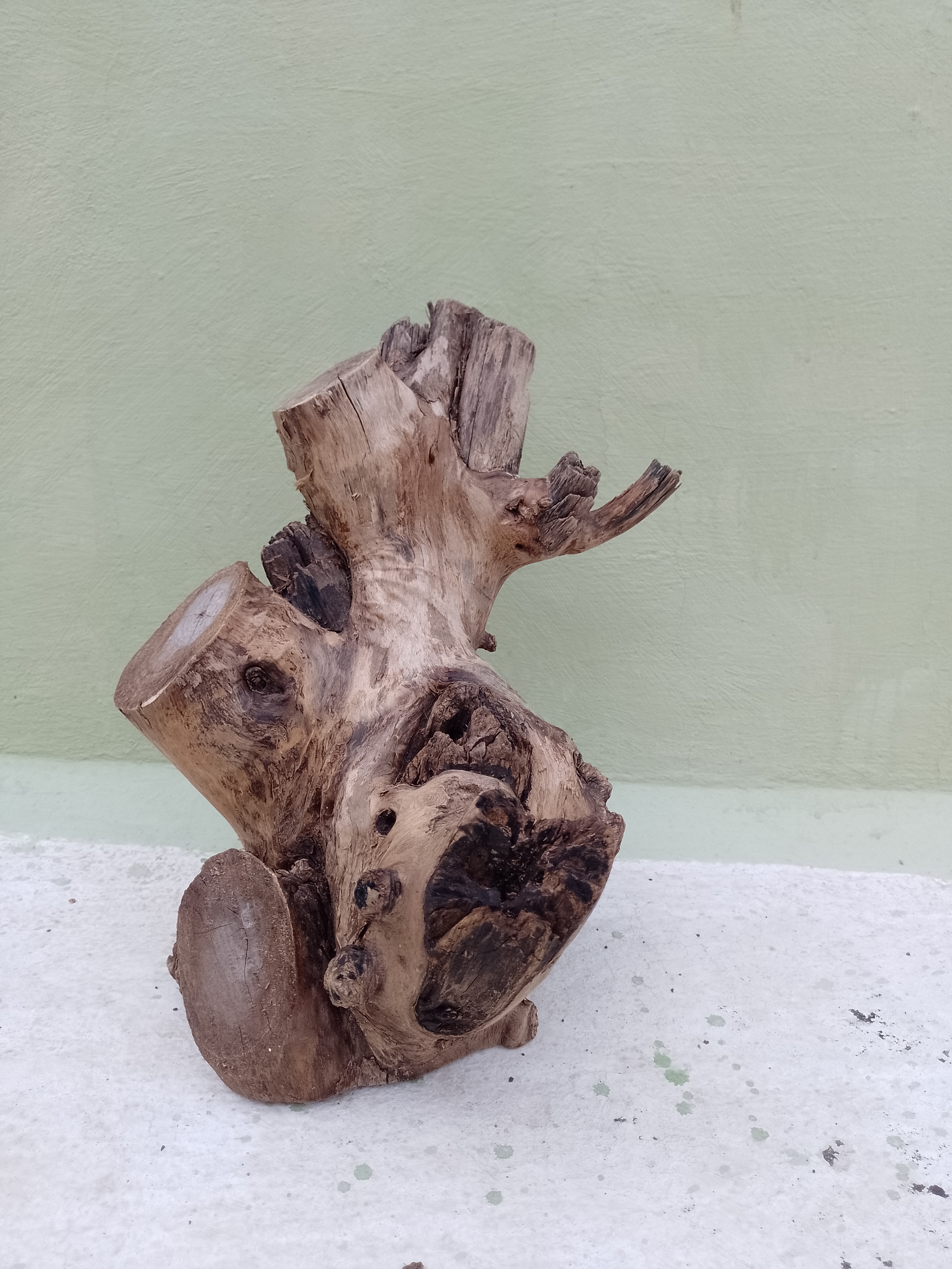 Driftwood for aquarium 