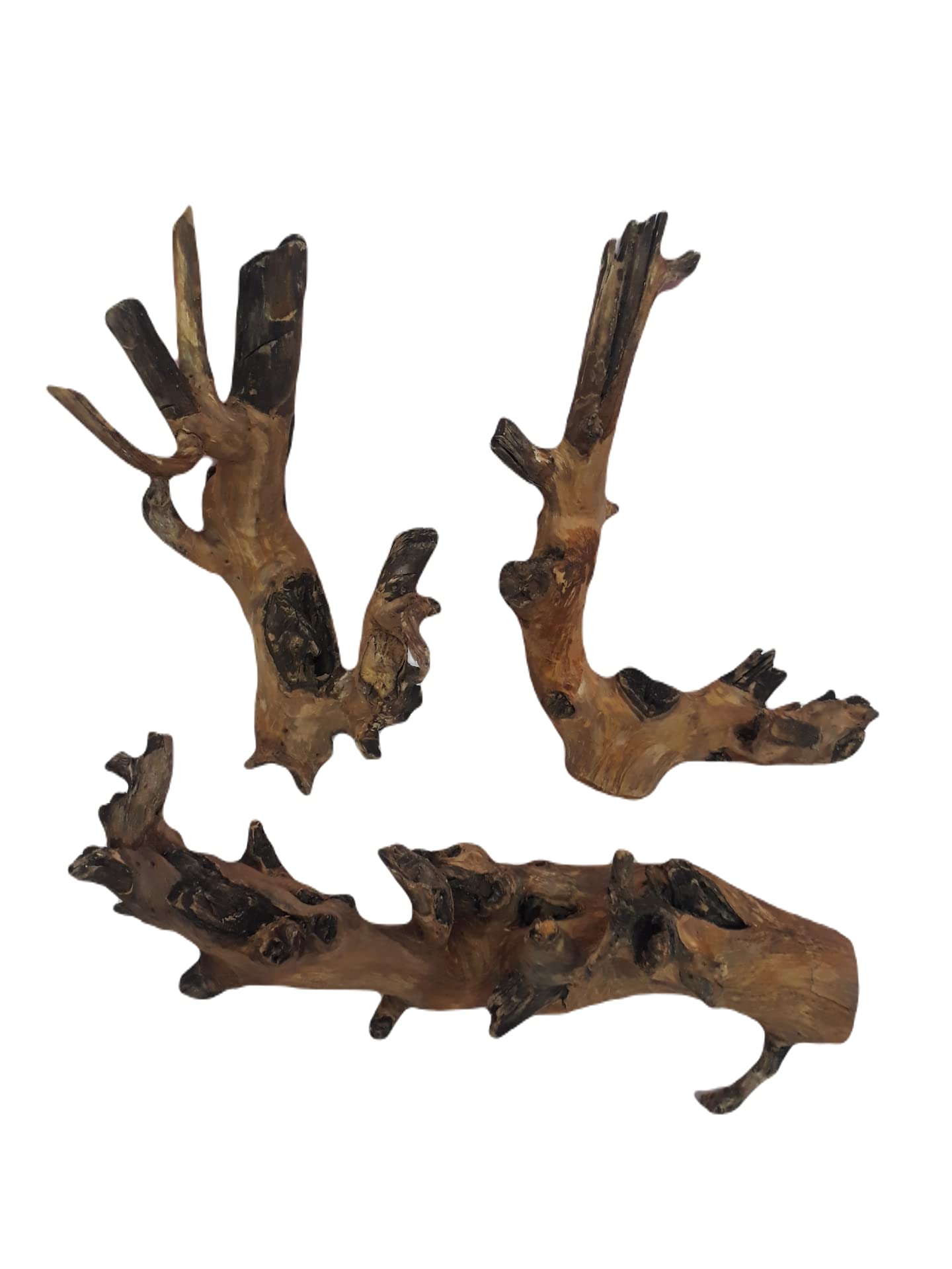 DKS STORES Driftwood For Aquarium Original Teak Wood Three Medium Size Pieces Total Weight 2.3 Kg (Random Shape)