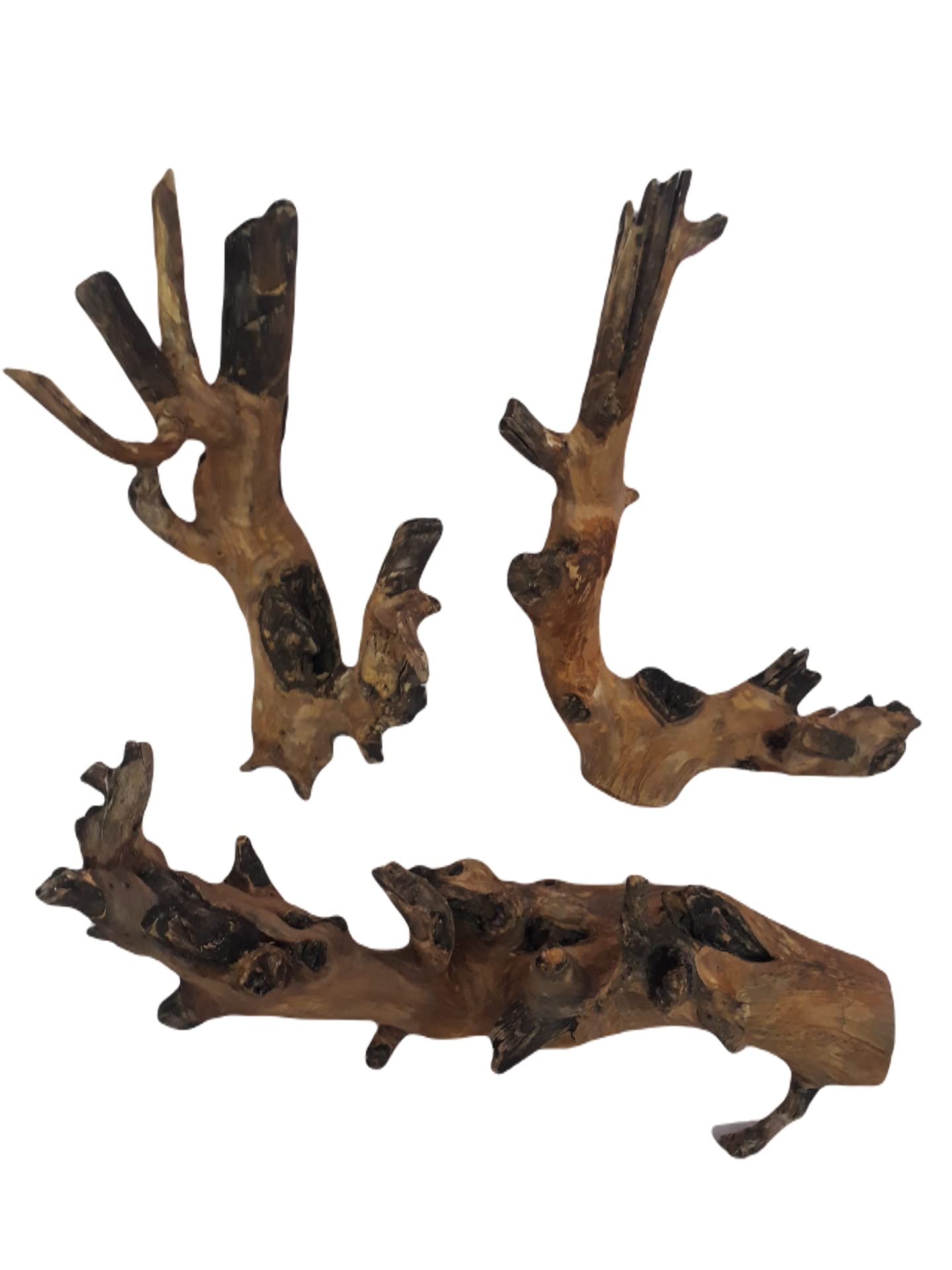 DKS STORES Driftwood For Aquarium Original Teak Wood Three Medium Size Pieces Total Weight 2.3 Kg (Random Shape)