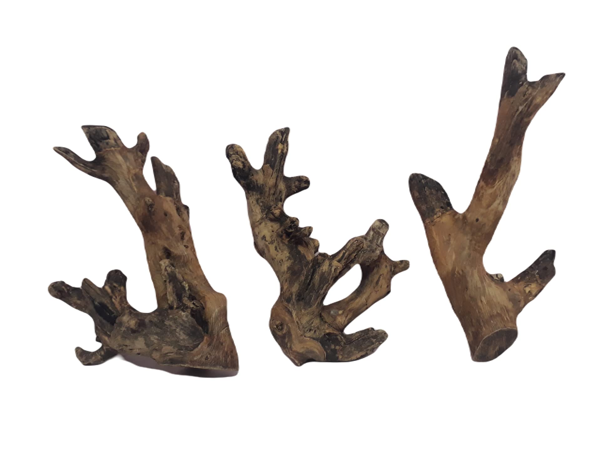 DKS STORES Driftwood For Aquarium Original Teak Wood Three Pieces (Random Shape)