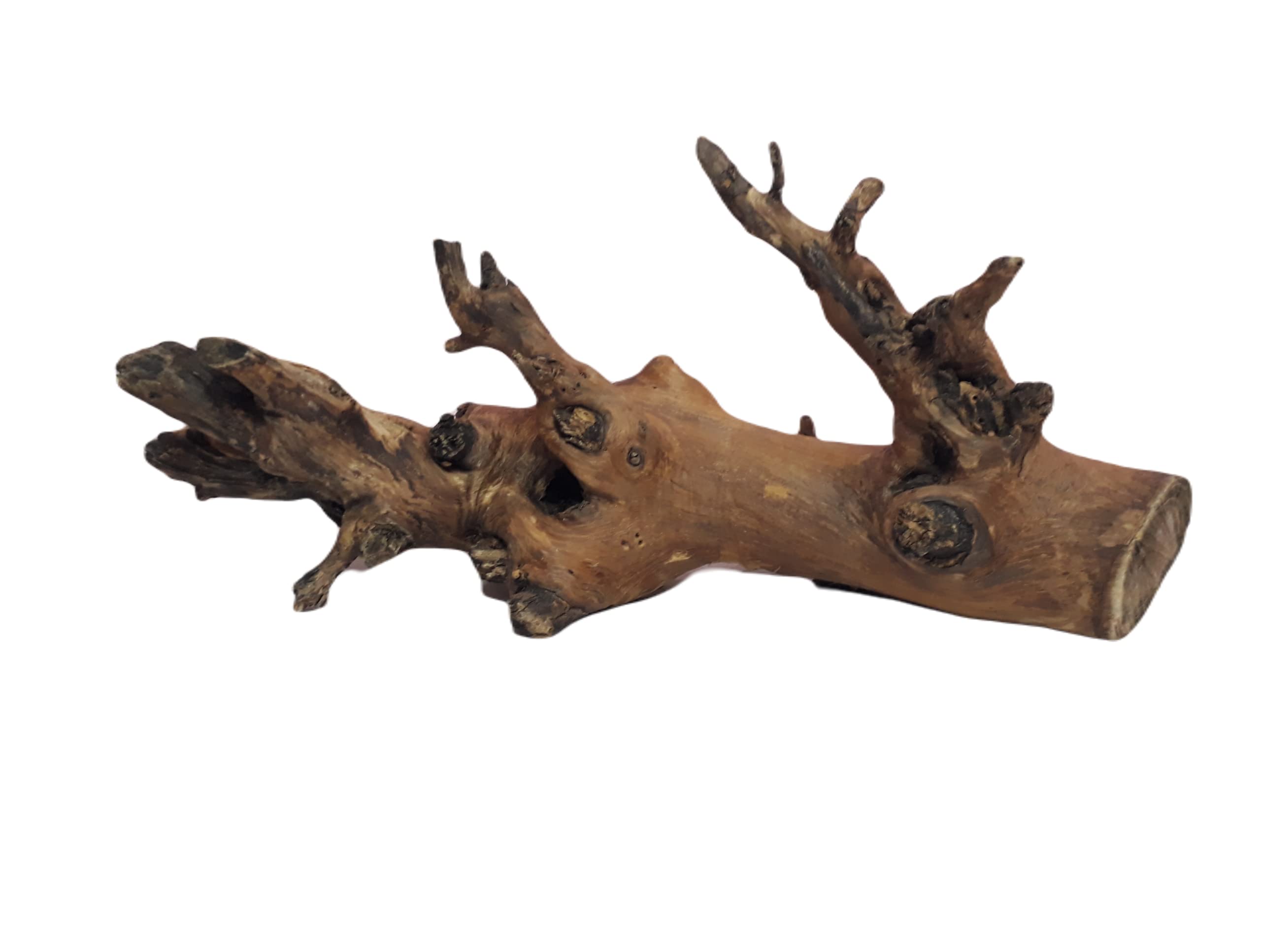 Driftwood for Aquarium Original Teak wood, 43 CM long and 2 KG weight (Random Shape)
