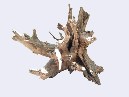 Big Large driftwoods  27 inches in length -Table decoration or outdoor pond setup