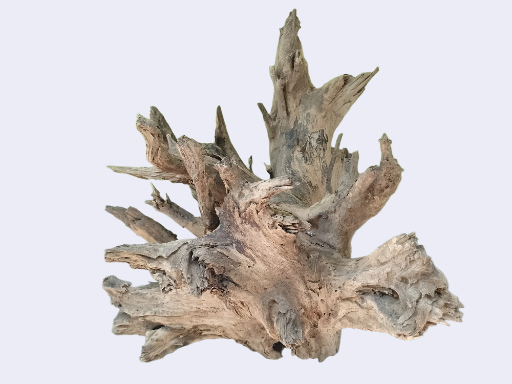 Big Large driftwoods 27 inches in length -Table decoration or outdoor pond setup