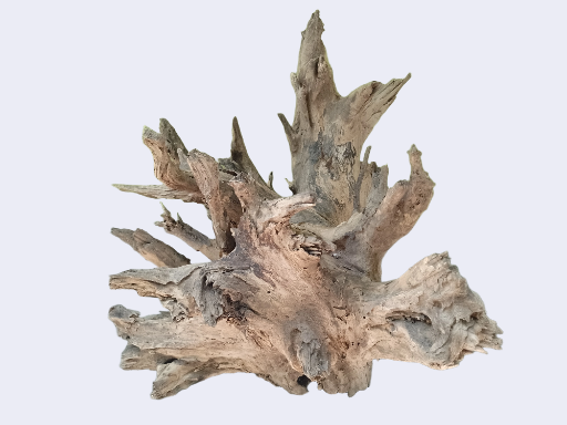 Big Large driftwoods  27 inches in length -Table decoration or outdoor pond setup