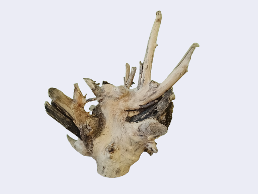 Driftwood for aquarium 