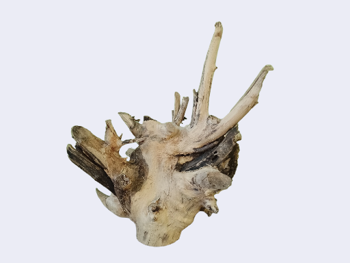 Driftwood for aquarium 