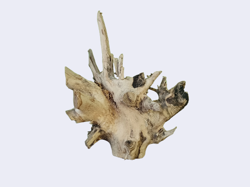 Driftwood for aquarium 