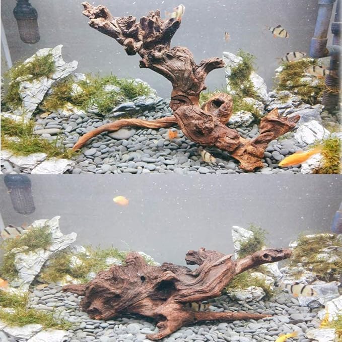 Set of 1PCS Large Teak  Driftwood Natural Mixed Branches for Aquarium Decoration Dear Dragon Tank Accessories Terrarium Decor(Size:-10 to to 15 Inch) Random shape