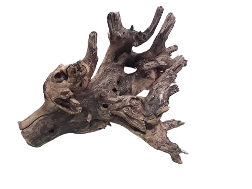 Driftwood For Aquarium Original Teak Driftwood 60 CM Long and 7 kg Weight ( Only For Large Tank)