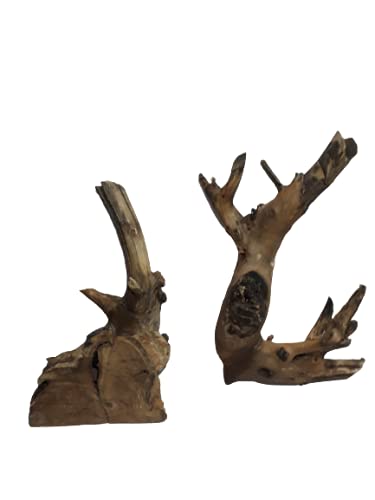 Driftwood for aquarium Original Teak wood Branch two small pieces weight about 1.2 kg and 29 CM long