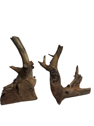 Driftwood for aquarium Original Teak wood Branch two small pieces weight about 1.2 kg and 29 CM long