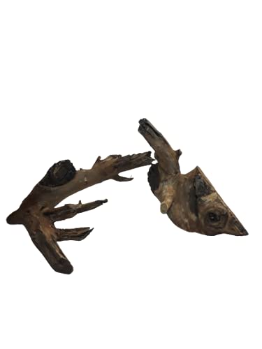 Driftwood for aquarium Original Teak wood Branch two small pieces weight about 1.2 kg and 29 CM long
