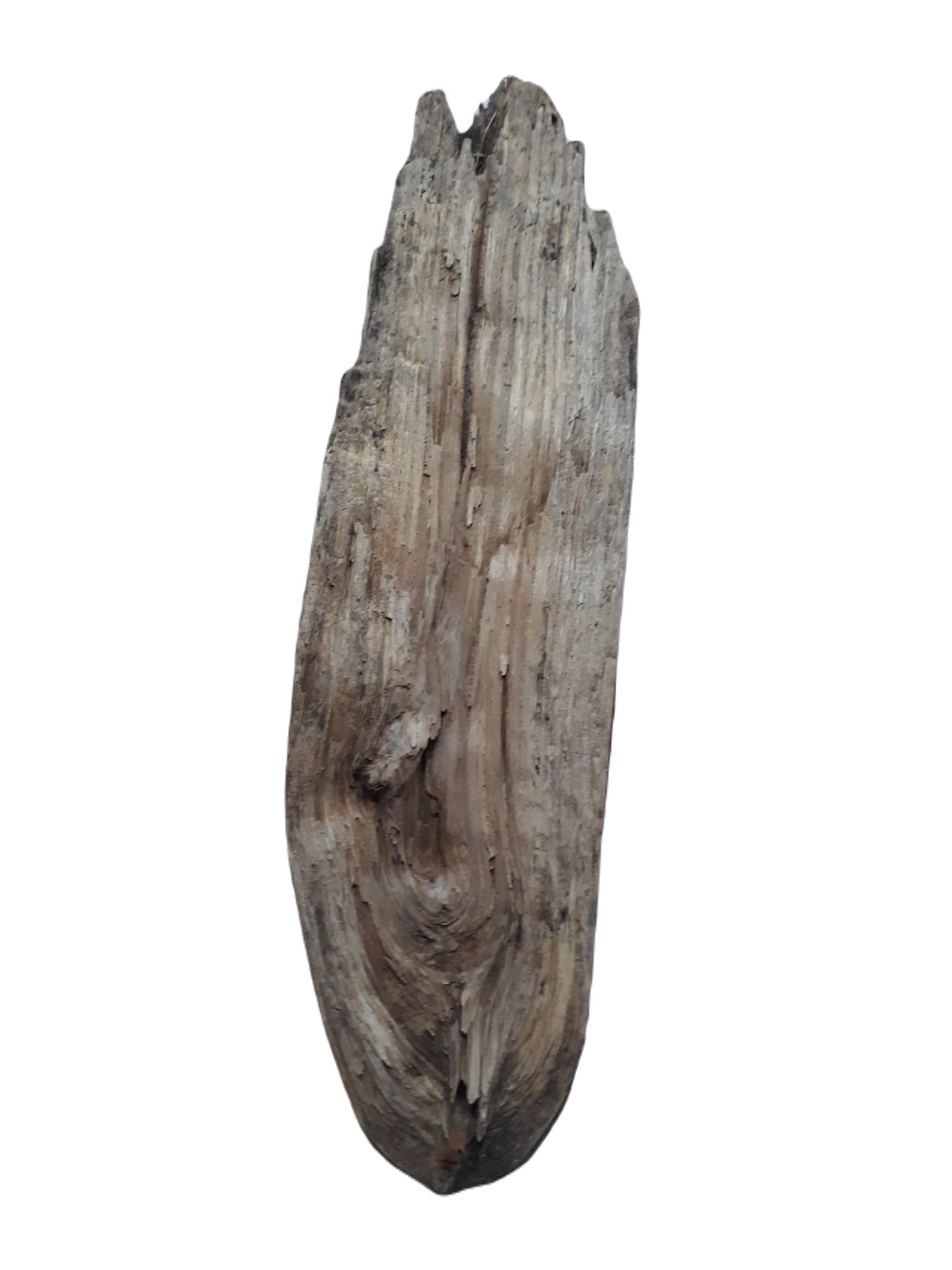 DKS STORES Driftwood For Aquarium And Succulents Plants Decor Original Teak Wood Total Weight 4.2 Kg And 2 Feet Long