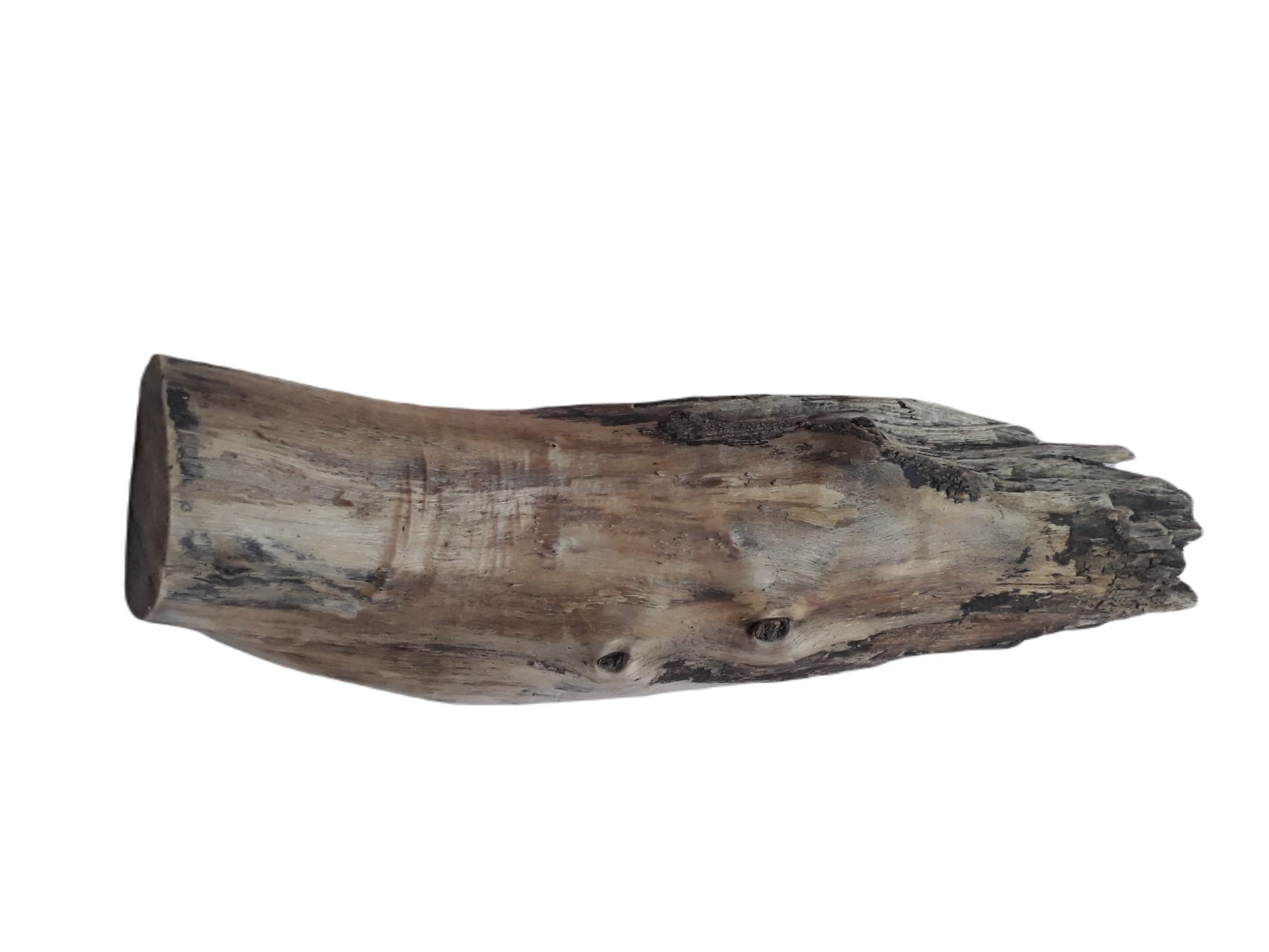 DKS STORES Driftwood For Aquarium And Succulents Plants Decor Original Teak Wood Total Weight 4.2 Kg And 2 Feet Long
