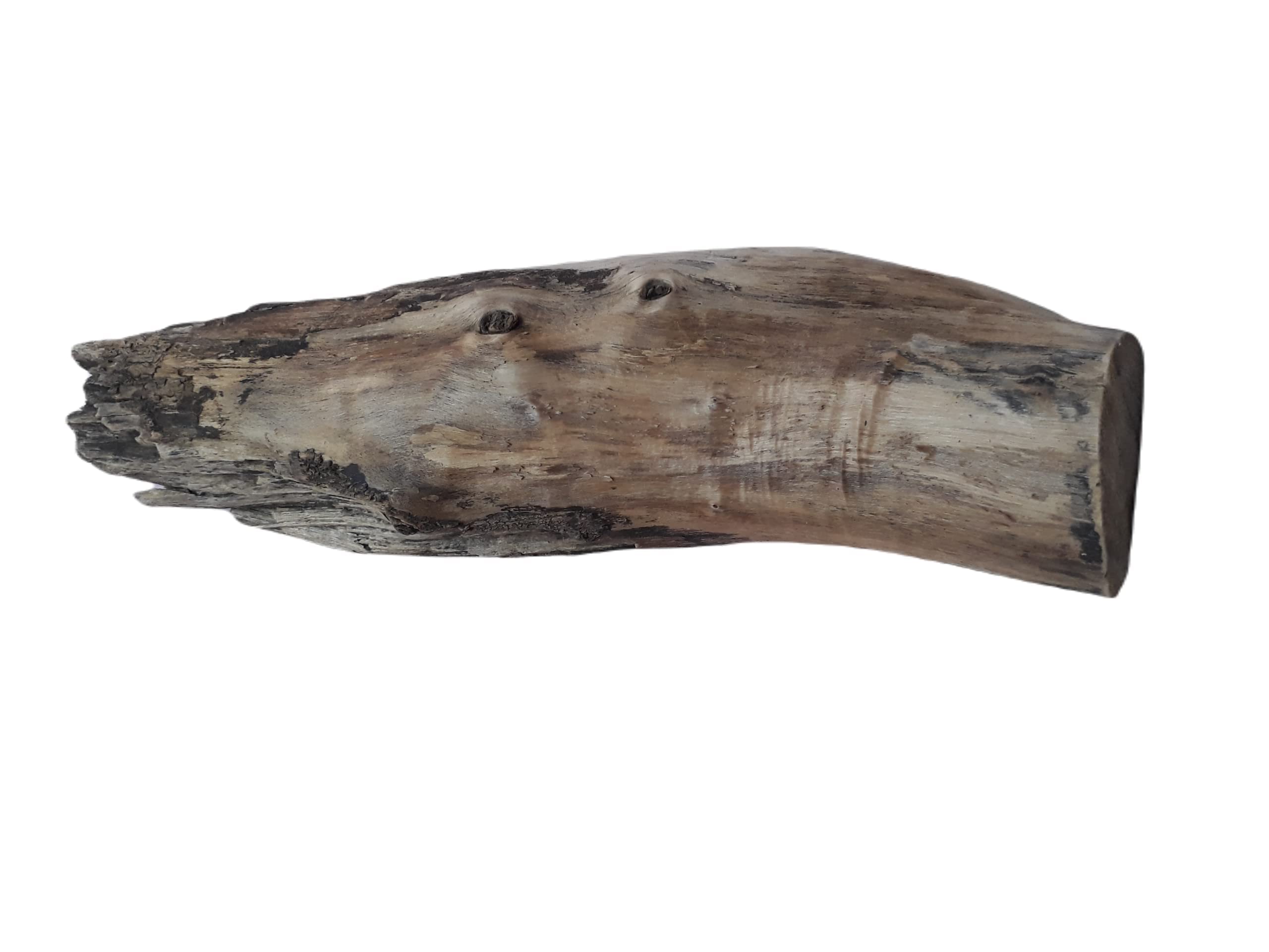 DKS STORES Driftwood For Aquarium And Succulents Plants Decor Original Teak Wood Total Weight 4.2 Kg And 2 Feet Long
