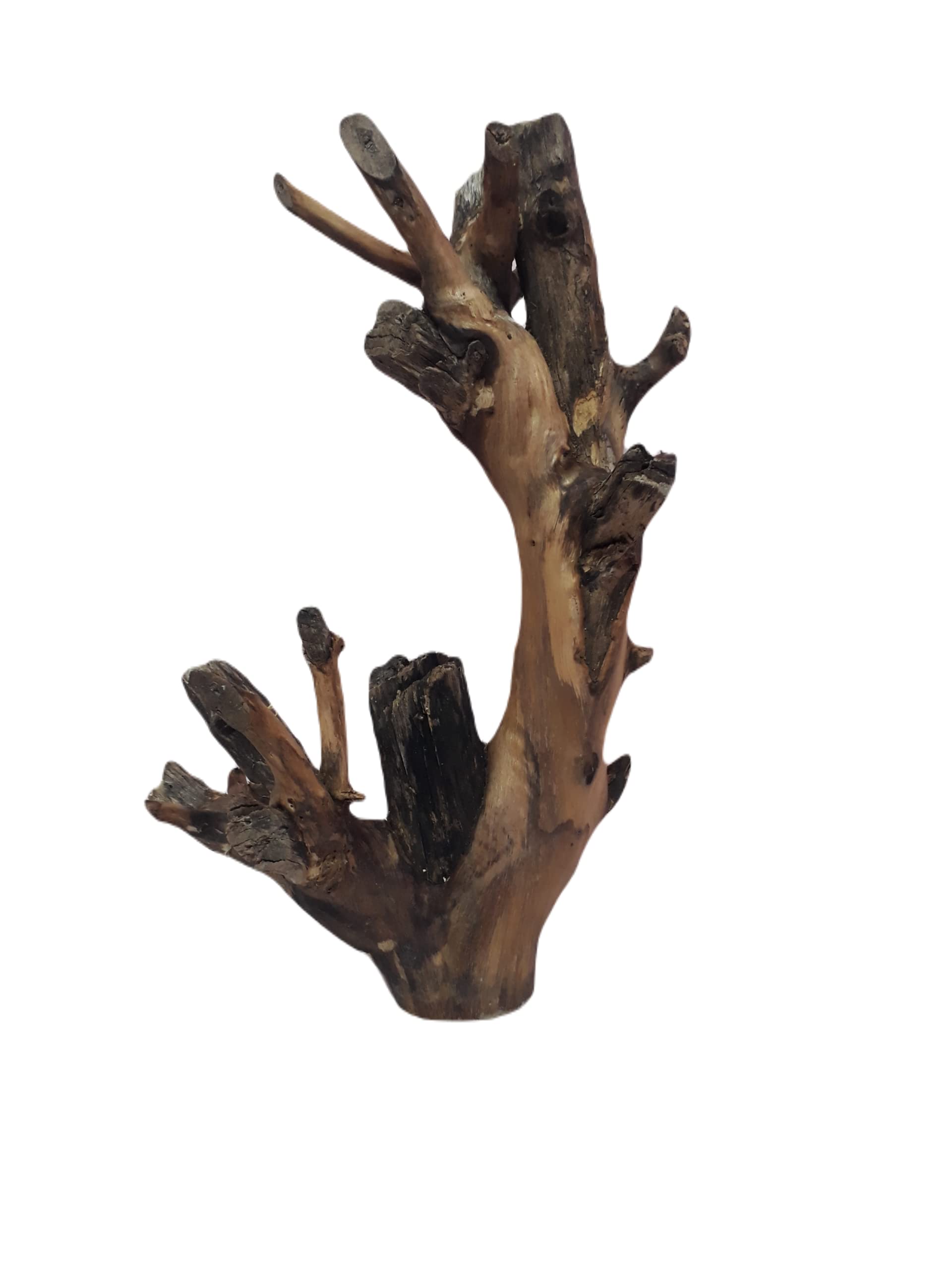 DKS STORES Driftwood For Aquarium Original Teak Wood 2 Kg Weght And 45 Cm Height(Similar Piece)