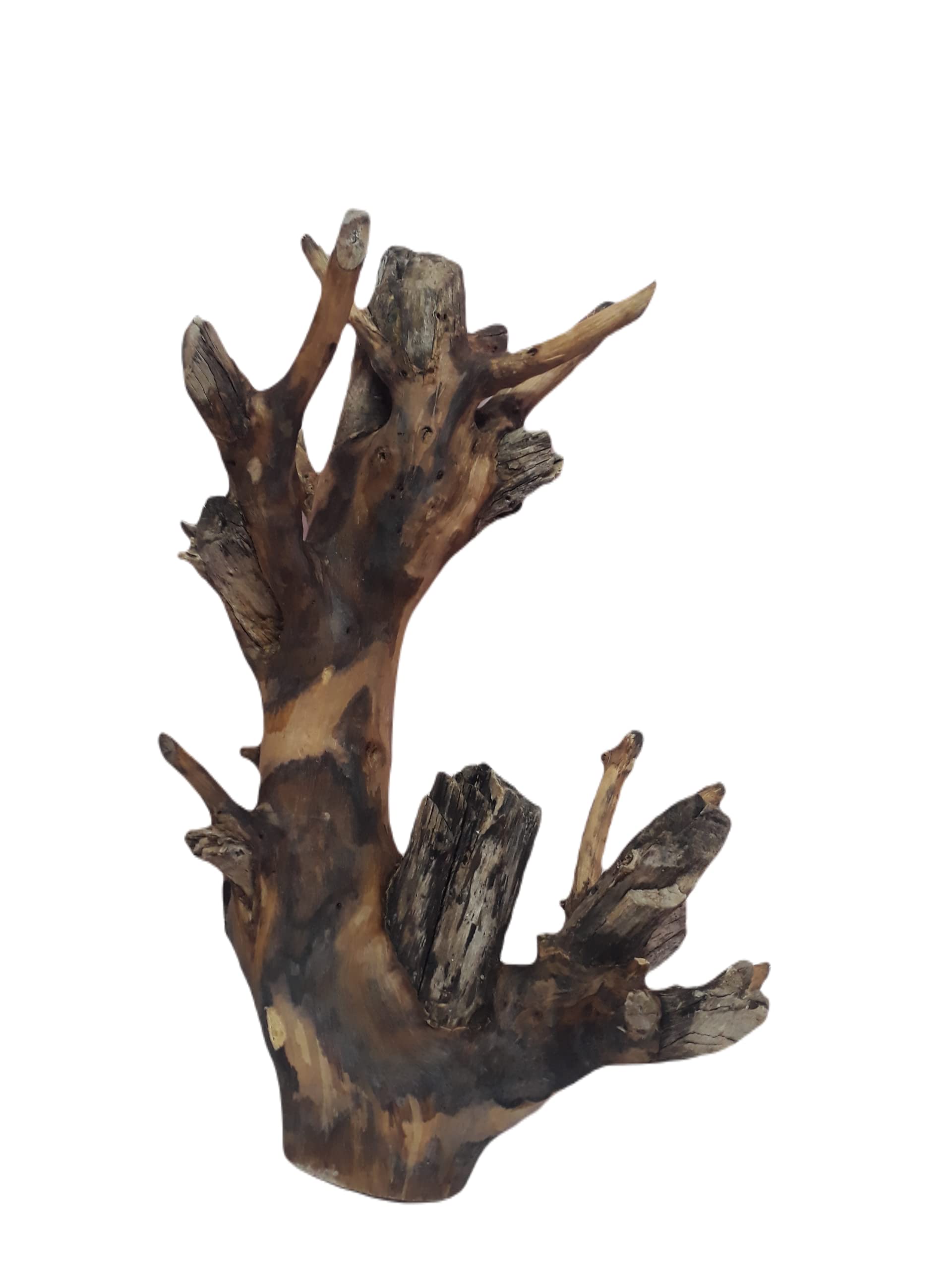 DKS STORES Driftwood For Aquarium Original Teak Wood 2 Kg Weght And 45 Cm Height(Similar Piece)