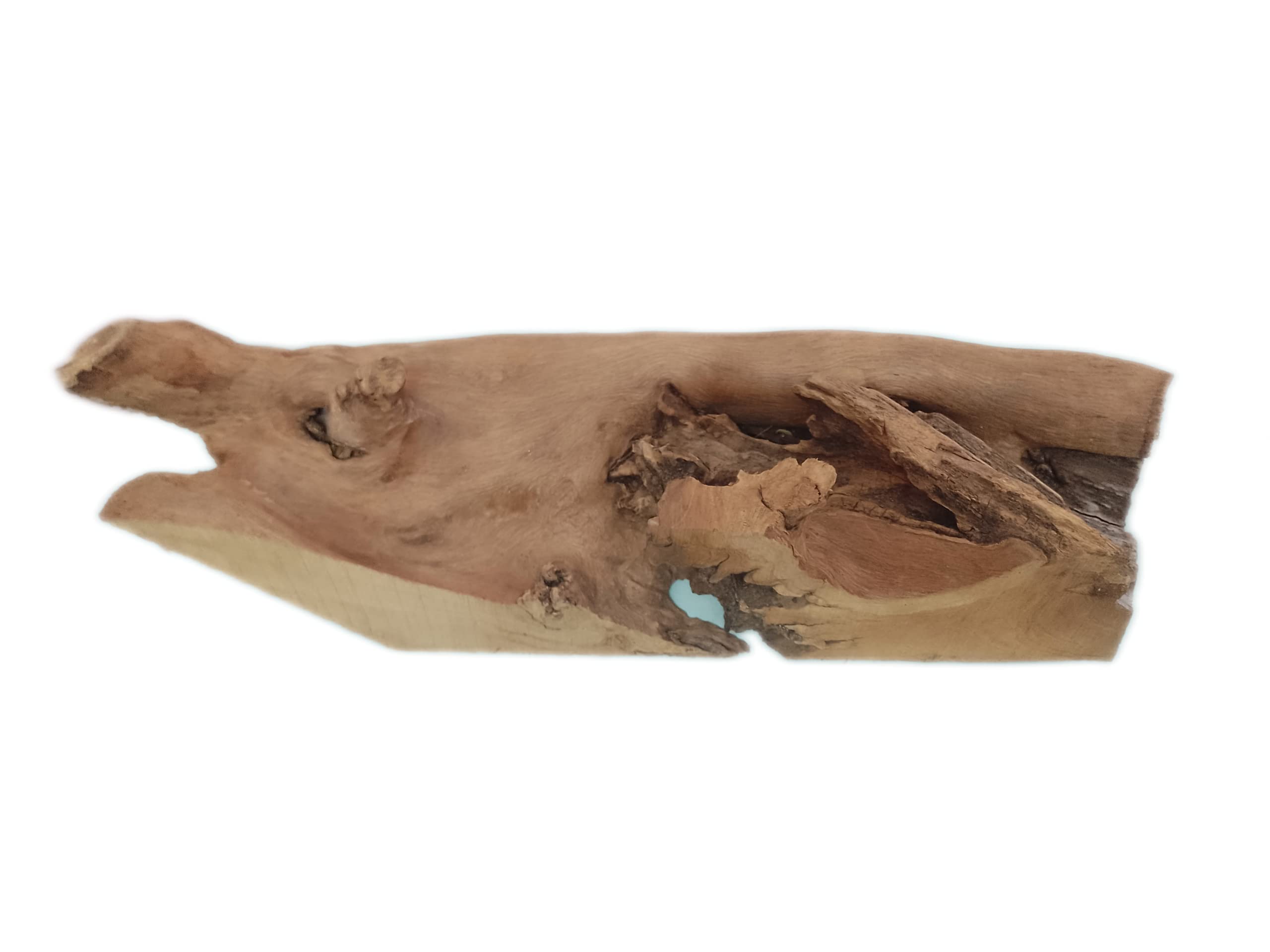 Driftwood For Aquarium or Succulents setup  Original Teak wood 50 CM Long