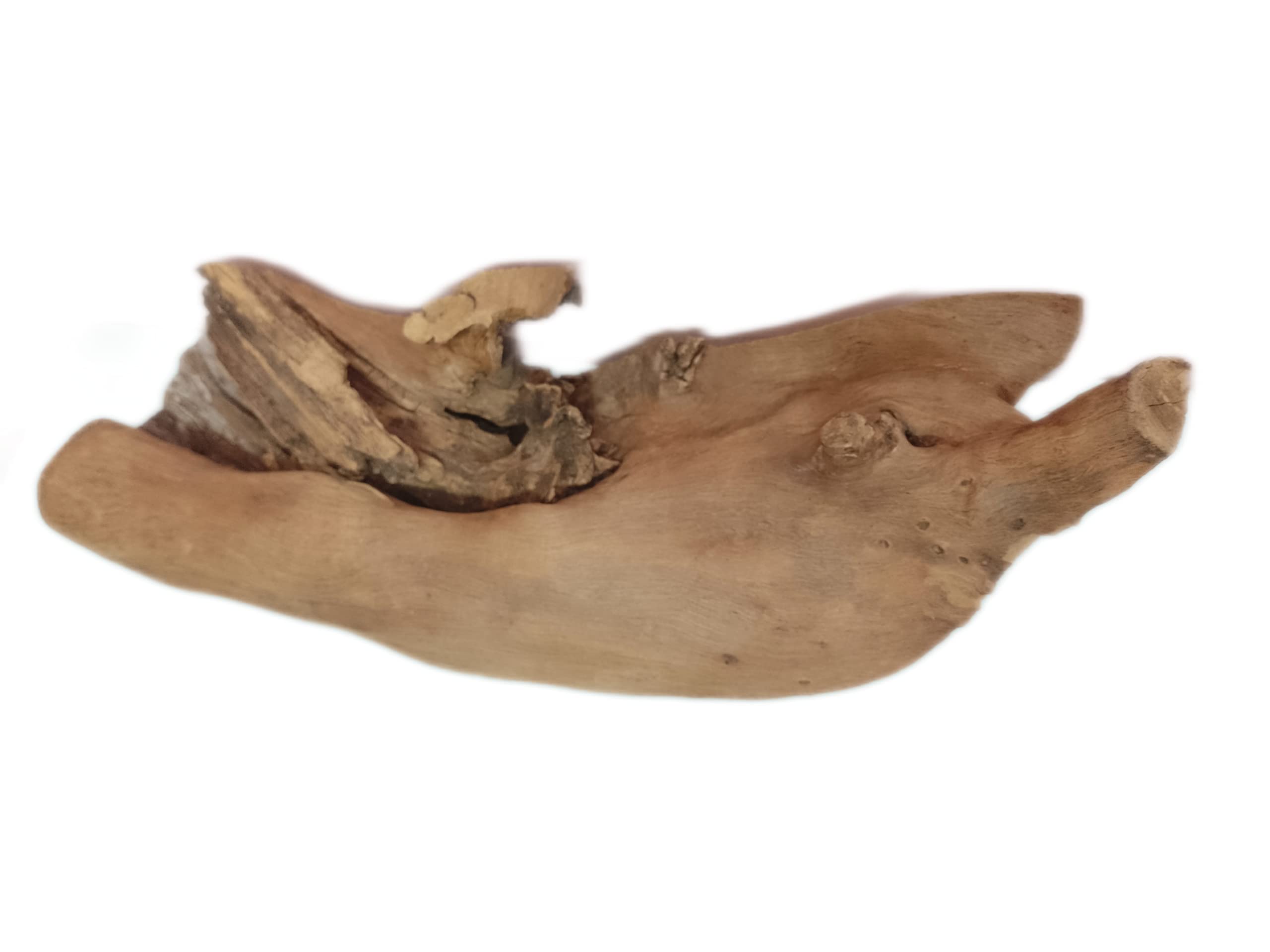 Driftwood For Aquarium or Succulents setup  Original Teak wood 50 CM Long