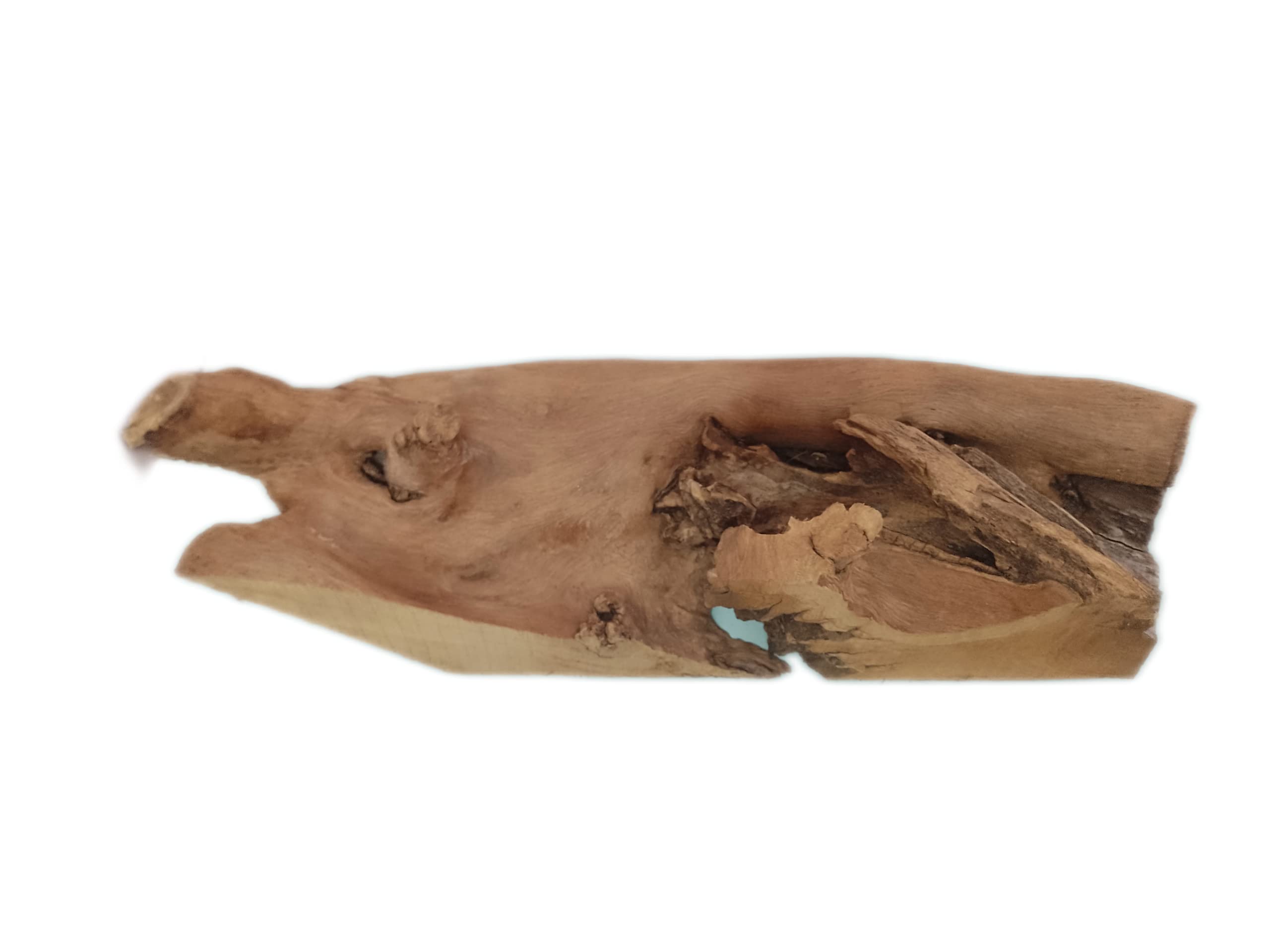 Driftwood For Aquarium or Succulents setup  Original Teak wood 50 CM Long