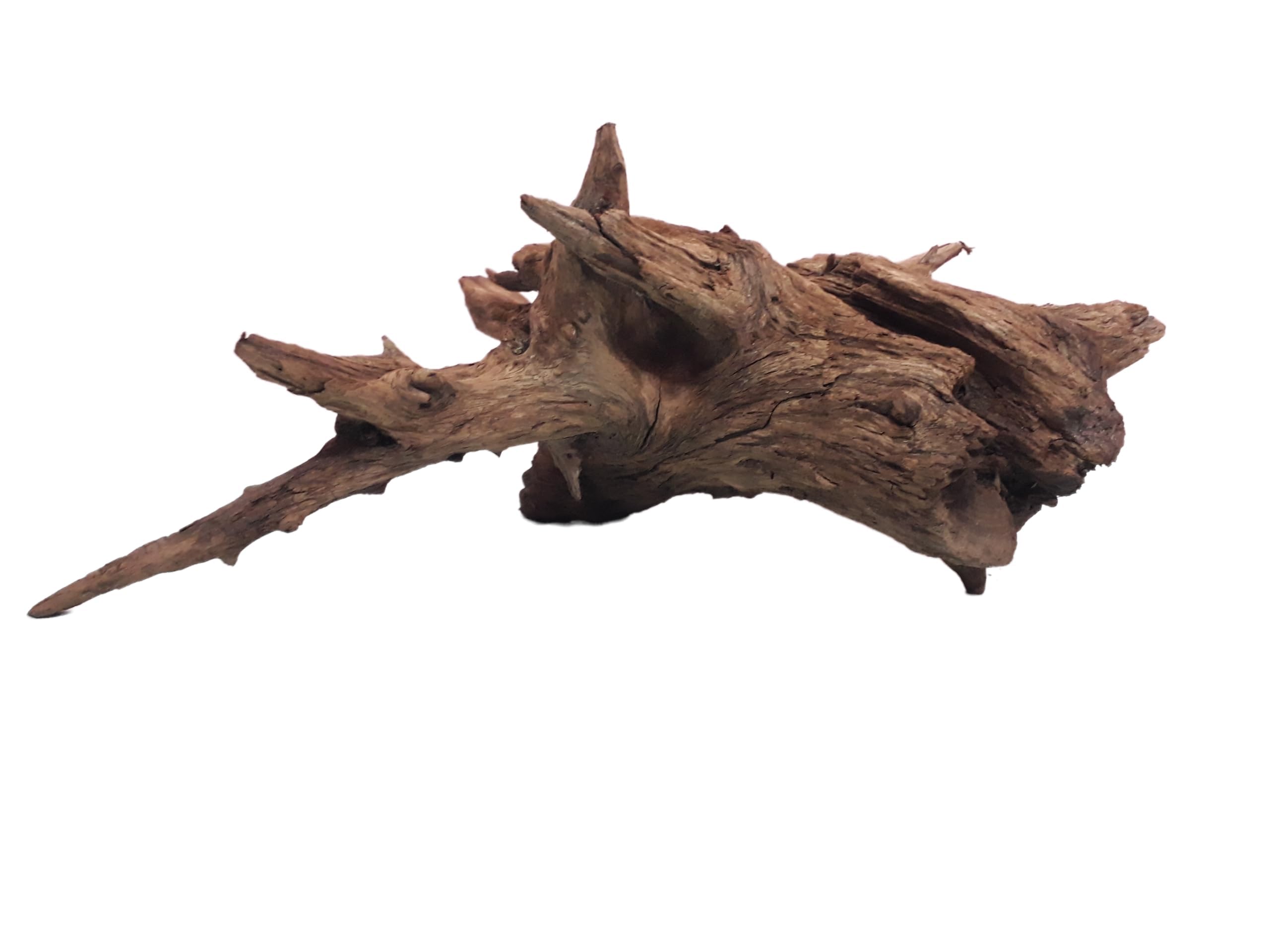 Driftwood For Aquarium Tree root Height about 37 CM and 35 Cm Long