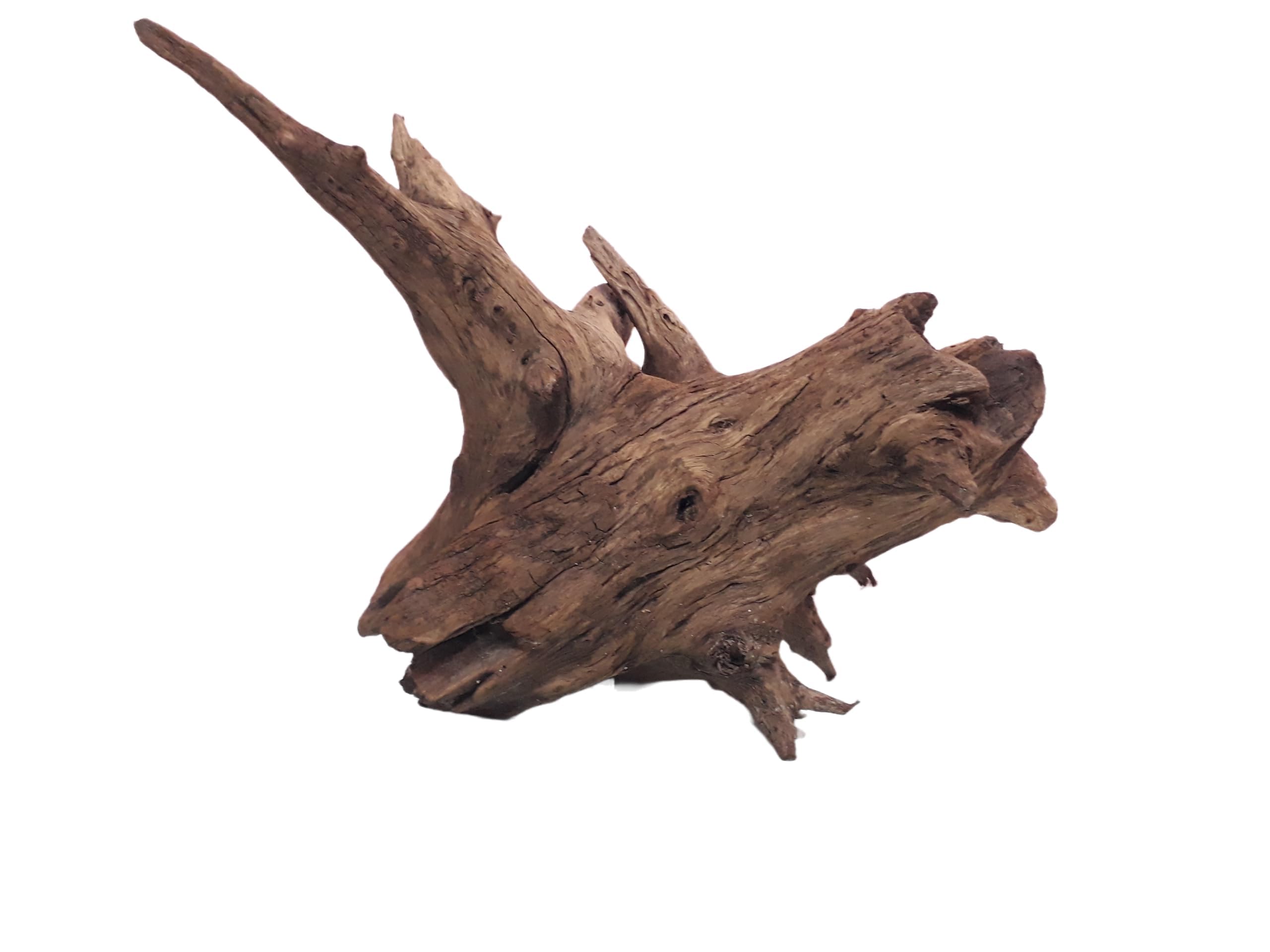 Driftwood For Aquarium Tree root Height about 37 CM and 35 Cm Long