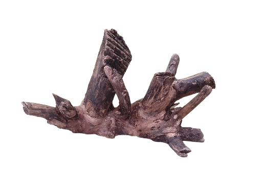 Driftwood For Aquarium Original Teak wood  30 Cm long 