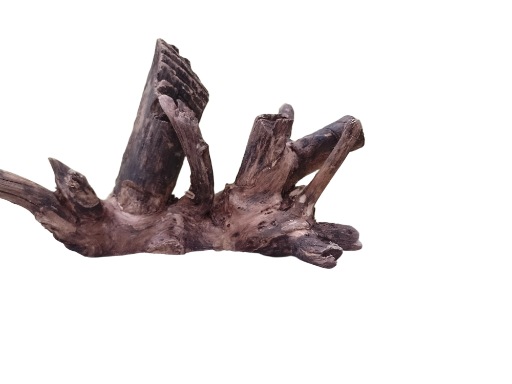 Driftwood For Aquarium Original Teak wood  30 Cm long 