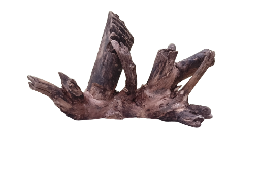 Driftwood For Aquarium Original Teak wood  30 Cm long 