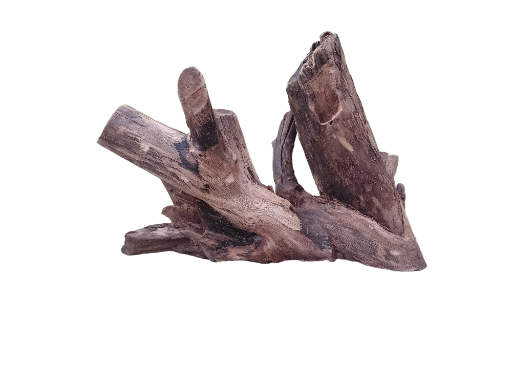 Driftwood For Aquarium Original Teak wood  30 Cm long 