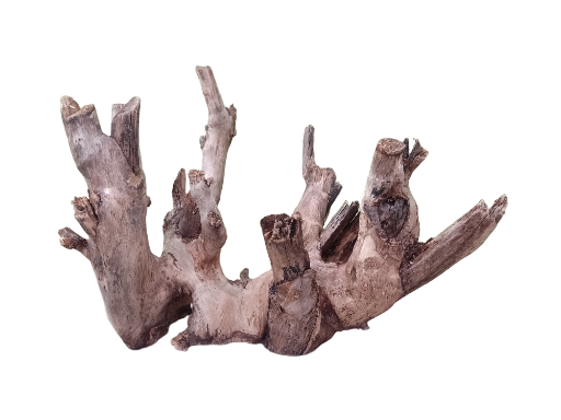 Driftwood For Aquarium Original Teak wood branch 38 cm in length