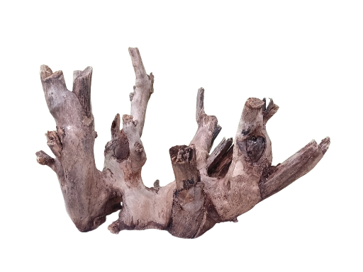 Driftwood For Aquarium Original Teak wood branch 38 cm in length