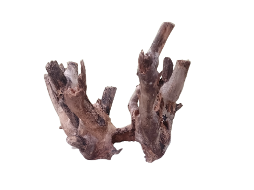 Driftwood For Aquarium Original Teak wood branch 38 cm in length