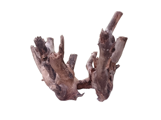 Driftwood For Aquarium Original Teak wood branch 38 cm in length