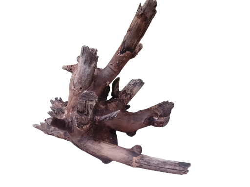 Driftwood for Aquarium Original Teak wood Branch measurement length 40 cm, Weight about 2.2 Kg Solid branch 
