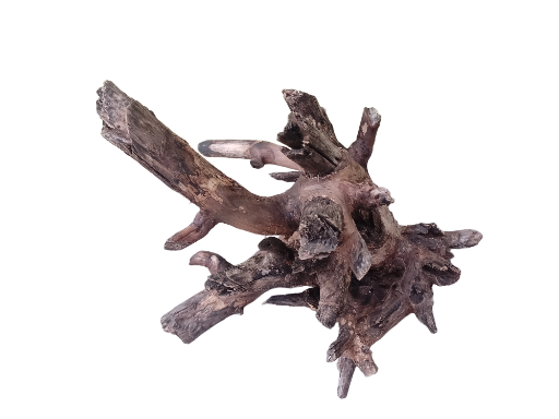 Driftwood for Aquarium Original Teak wood Branch measurement length 40 cm, Weight about 2.2 Kg Solid branch 