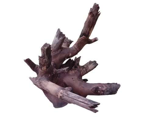 Driftwood for Aquarium Original Teak wood Branch measurement length 40 cm, Weight about 2.2 Kg Solid branch 