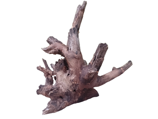 Driftwood for Aquarium Original Teak wood Branch measurement length 40 cm, Weight about 2.2 Kg Solid branch 