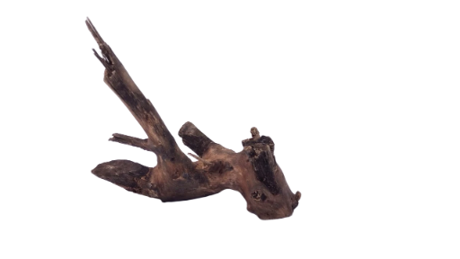  Driftwood for Aquarium original Teak wood 22 Cm Height  